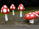 Day 58 - 25th Oct - More Shrooms - Carrera Photography