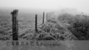 Day 70 - 6th Nov - Fading Into The Mist - Carrera Photography