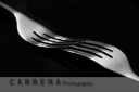 Day 137 - 13th Jan - Forking - Carrera Photography